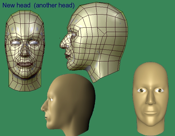 model hlavy.jpg