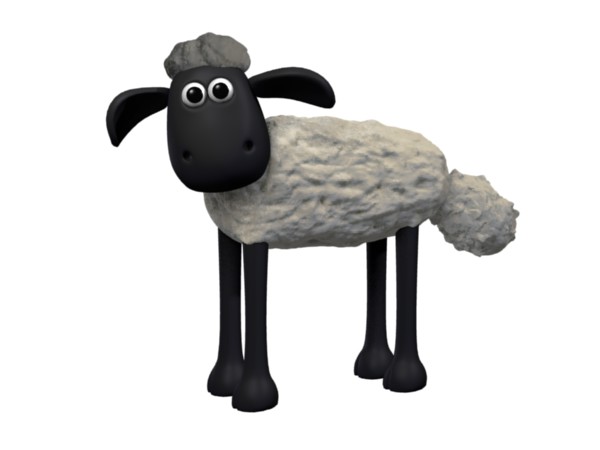 Shaun1.jpg