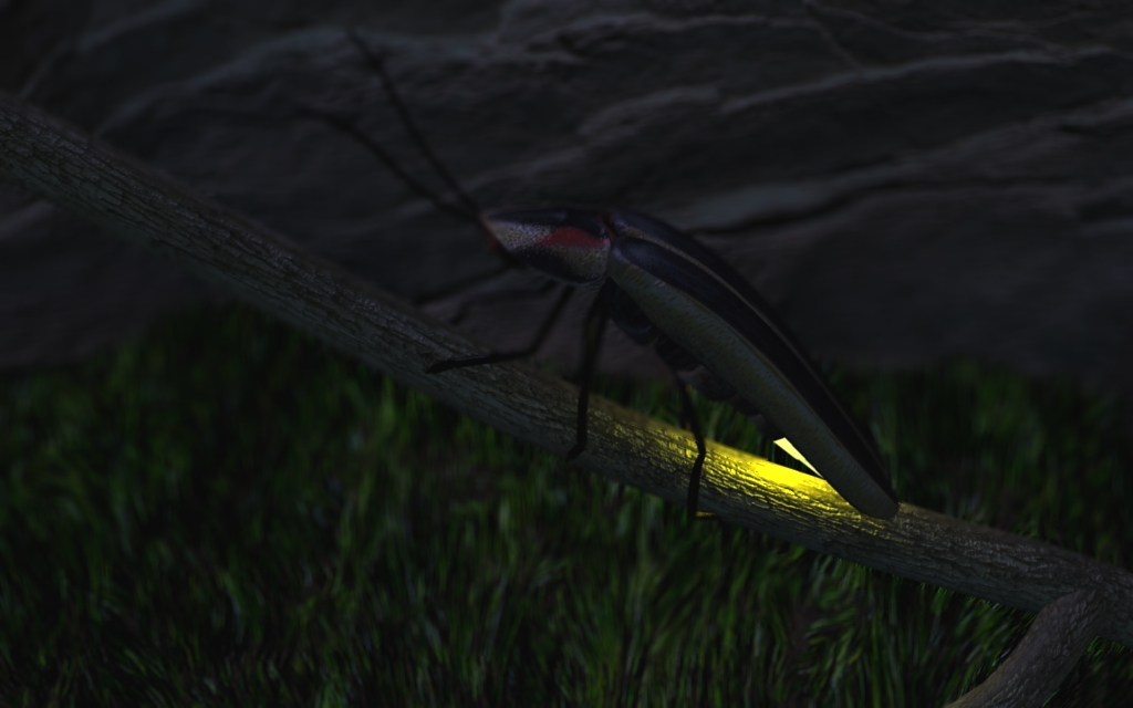 glow-worm.jpg