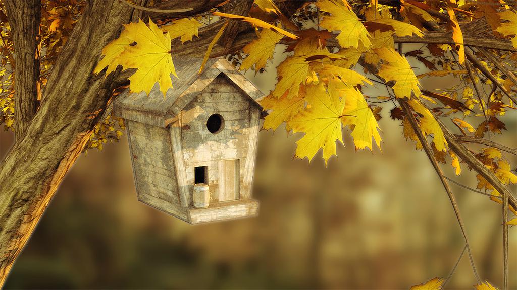 birdhouse.jpg